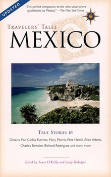 Paperback Travelers' Tales Mexico: True Stories Book