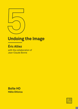 Paperback Boîte Ho: Hélio Oiticica (Undoing the Image 5) Book