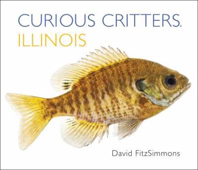 Board book Curious Critters: Illinois Book