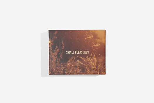 Misc. Small Pleasures Card Set: Find Beauty in Overlooked Things Book