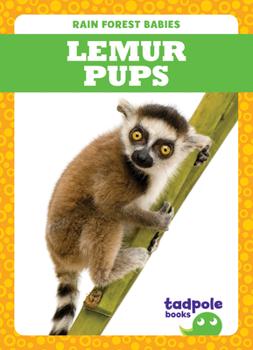 Paperback Lemur Pups Book