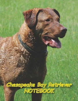 Chesapeake Bay Retriever NOTEBOOK: Notebooks and Journals 110 pages (8.5"x11")