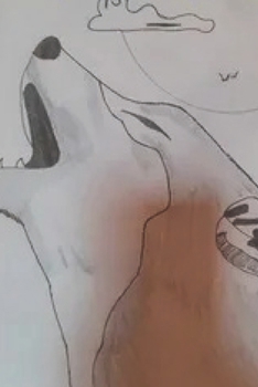 Paperback My Prophecy Luna: Fate always has a plan Book