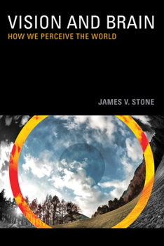 Paperback Vision: How We Perceive the World Book