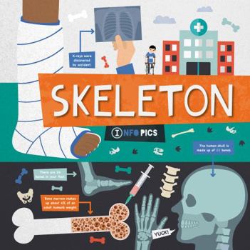 Paperback Skeleton (InfoPics) Book