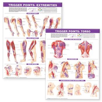 Wall Chart Trigger Point Chart Set: Torso & Extremities Paper Book