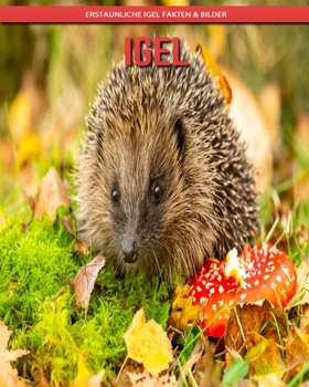 Igel: Erstaunliche Igel Fakten & Bilder
