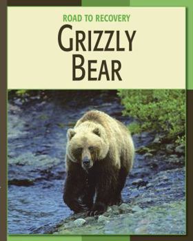 Library Binding Grizzly Bear Book