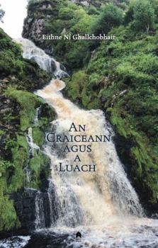 Paperback An Craiceann Agus a Luach Book