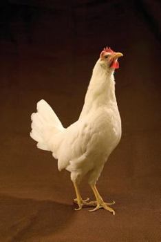 Paperback Farm Journal White Leghorn Chicken Standing: (Notebook, Diary, Blank Book) Book