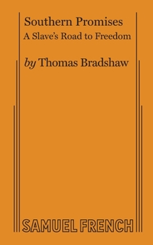 Paperback Southern Promises Book