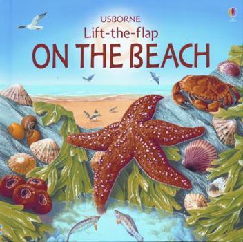 Hardcover On the Beach Lift the Flap Book