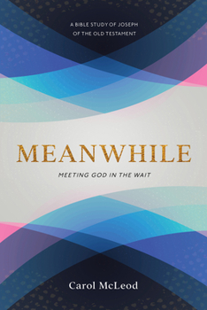 Paperback Meanwhile: Meeting God in the Wait Book