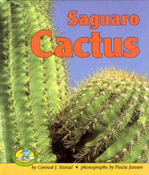 Hardcover Saguaro Cactus Book