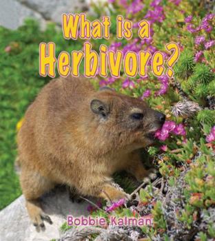 Library Binding What Is a Herbivore? Book