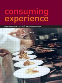 Paperback Consuming Experience Book