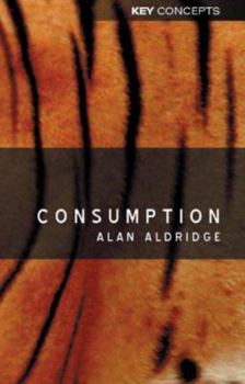 Consumption (Key Concepts) - Book  of the Key Concepts (Polity)