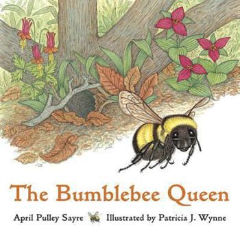 Hardcover The Bumblebee Queen Book