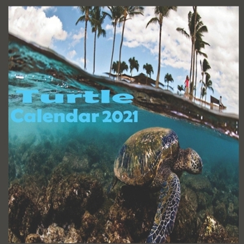 Paperback Turtle calendar 2021 Book