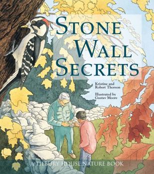 Paperback Stone Wall Secrets Book