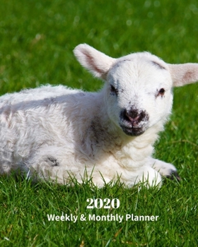 Paperback 2020 Weekly and Monthly Planner: White Sheep - Lamb Monthly Calendar with U.S./UK/ Canadian/Christian/Jewish/Muslim Holidays- Calendar in Review/Notes Book