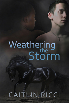 Paperback Weathering the Storm: Volume 1 Book