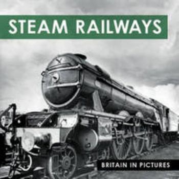 Paperback Steam Railways Book
