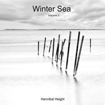 Paperback Winter Sea - Volume 3 Book