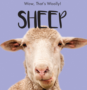 Paperback Sheep Book