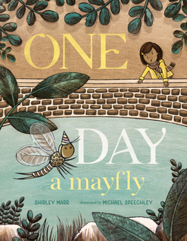 Hardcover One Day a Mayfly Book
