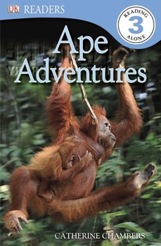 Paperback DK Readers L3: Ape Adventures Book