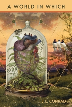 Paperback A World in Which Book