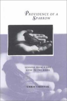 Hardcover Providence of a Sparrow: Lessons from a Life Gone to the Birds Book