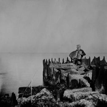 Vinyl A Hole In The Fence Book