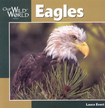 Paperback Eagles Book