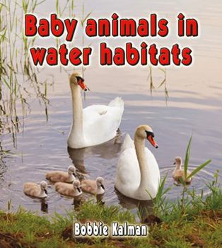 Hardcover Baby Animals in Water Habitats Book