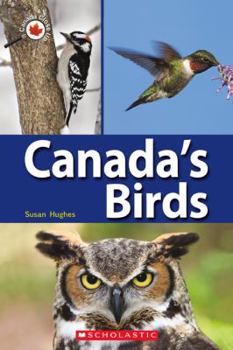 Paperback Canada Close Up: Canada's Birds Book