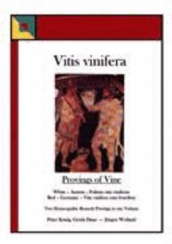 Vitis vinifera - Provings of Vine: Two Homoeopathic Remedy Provings