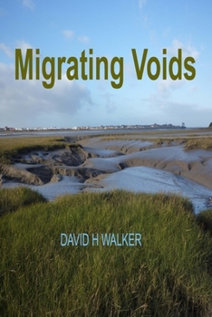 Paperback Migrating Voids Book