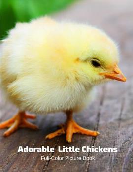 Paperback Adorable Little Chickens Full-Color Picture Book: Chicken and Chicks Picture Book for Children, Seniors and Alzheimer's Patients Book