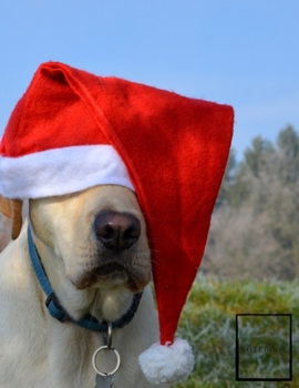 Christmas Time Lined Notebook Writing Pad Sketchbook: Unlined Ruled Pages Book (8.5 x 11 inches A4) - 100 Pages Journal II Planning, Drawing, Sketching, Writing (happy holidays)