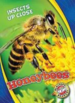 Honeybees - Book  of the Insects Up Close