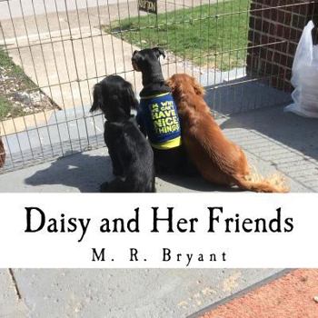 Paperback Daisy and Her Friends Book