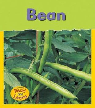 Bean - Book  of the Life Cycles