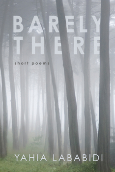 Paperback Barely There: Short Poems Book