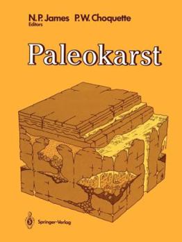 Paperback Paleokarst Book