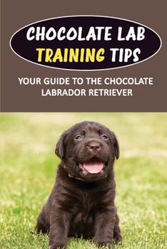 Paperback Chocolate Lab Training Tips: Your Guide To The Chocolate Labrador Retriever: Labrador Obedience Training Book