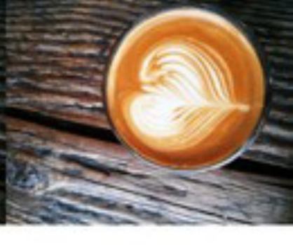 Coffee, Cats. Dogs and Landscapes