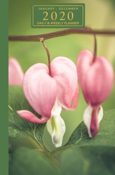 January - December 2020 Daily & Weekly Planner: Mini Calendar; Pink Bleeding Heart Flowers
