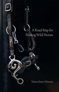Paperback A Road Map for Finding Wild Horses Book